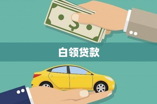 广南白领贷款