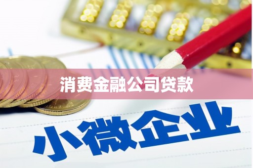 广南消费金融公司贷款