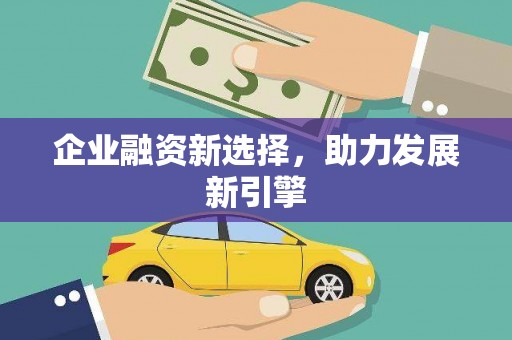 广南企业融资新选择，助力发展新引擎