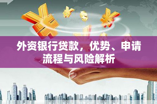 广南外资银行贷款，优势、申请流程与风险解析