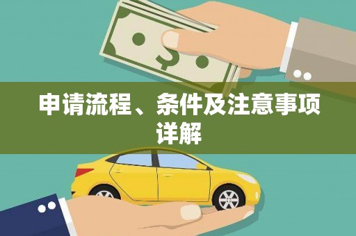 广南申请流程、条件及注意事项详解