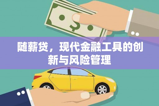 广南随薪贷，现代金融工具的创新与风险管理