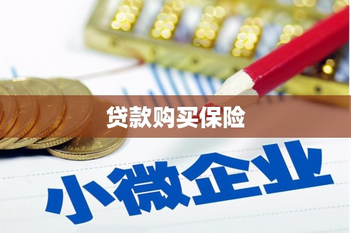 广南贷款购买保险