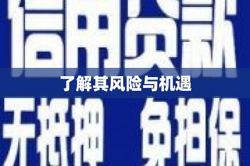 广南了解其风险与机遇