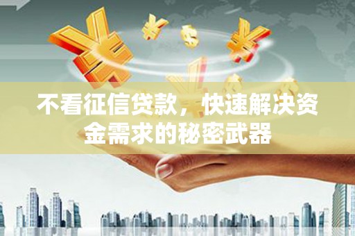 广南不看征信贷款，快速解决资金需求的秘密武器