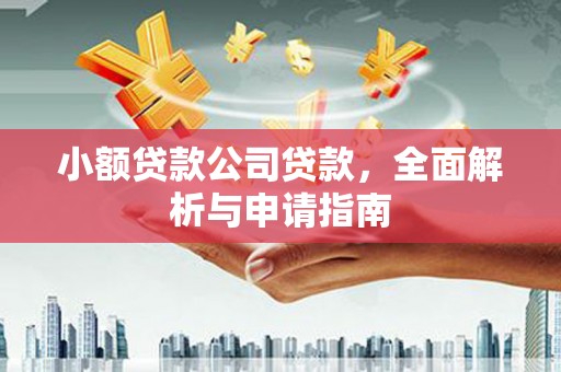广南小额贷款公司贷款，全面解析与申请指南