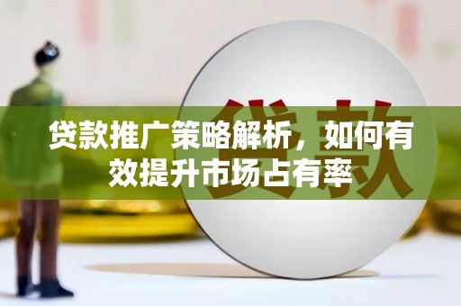 广南贷款推广策略解析，如何有效提升市场占有率