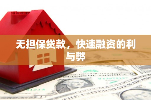 广南无担保贷款，快速融资的利与弊