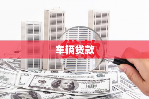 广南车辆贷款