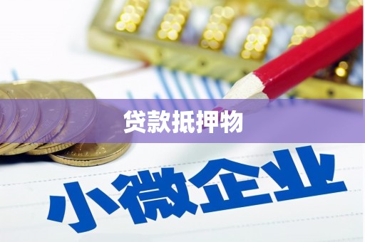 广南贷款抵押物