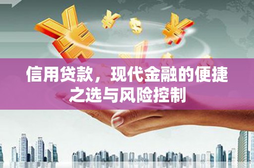 广南信用贷款，现代金融的便捷之选与风险控制
