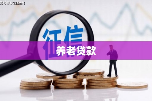 广南养老贷款