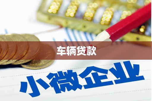广南车辆贷款