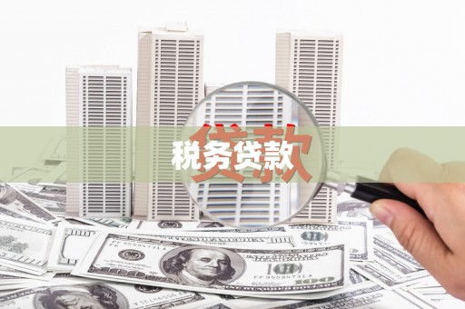 广南税务贷款