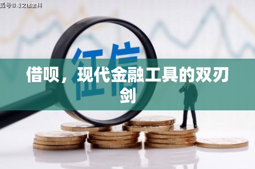 广南借呗，现代金融工具的双刃剑