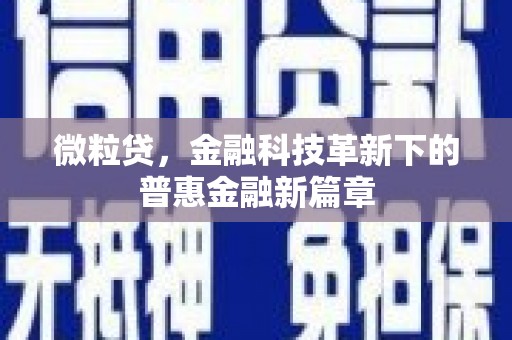 广南微粒贷，金融科技革新下的普惠金融新篇章