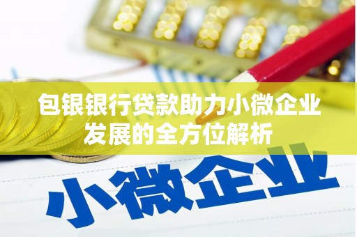 广南包银银行贷款助力小微企业发展的全方位解析