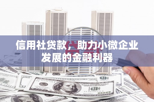广南信用社贷款，助力小微企业发展的金融利器