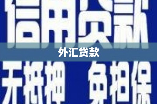 广南外汇贷款