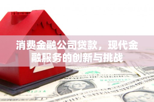 广南消费金融公司贷款，现代金融服务的创新与挑战