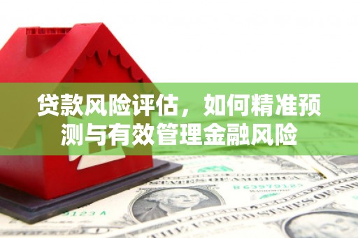 广南贷款风险评估，如何精准预测与有效管理金融风险