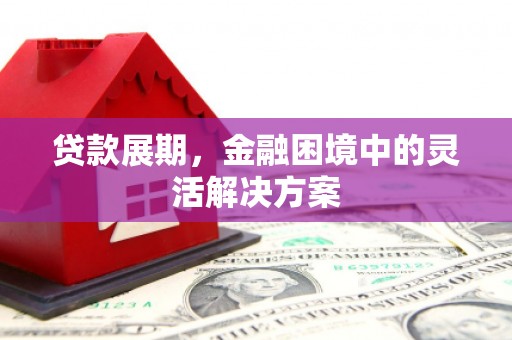 广南贷款展期，金融困境中的灵活解决方案