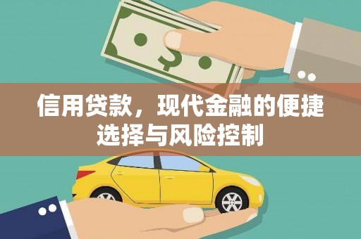 广南信用贷款，现代金融的便捷选择与风险控制