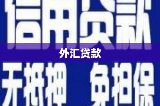 广南外汇贷款