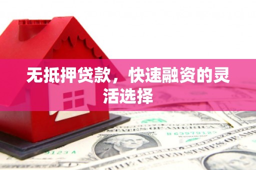 广南无抵押贷款，快速融资的灵活选择