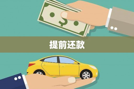 广南提前还款