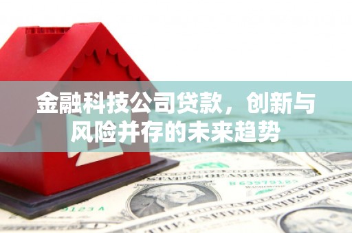 广南金融科技公司贷款，创新与风险并存的未来趋势