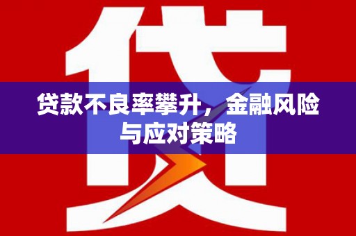 广南贷款不良率攀升，金融风险与应对策略