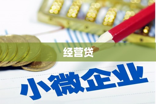 广南经营贷