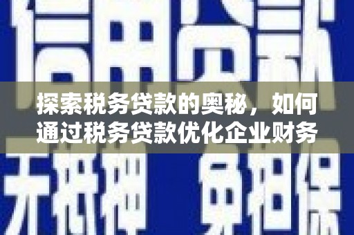 广南探索税务贷款的奥秘，如何通过税务贷款优化企业财务