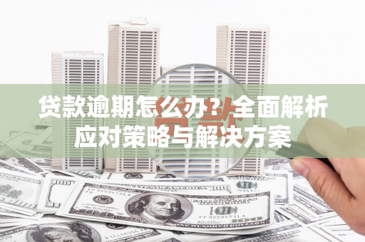 广南贷款逾期怎么办？全面解析应对策略与解决方案