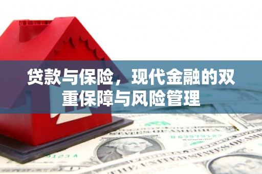 广南贷款与保险，现代金融的双重保障与风险管理