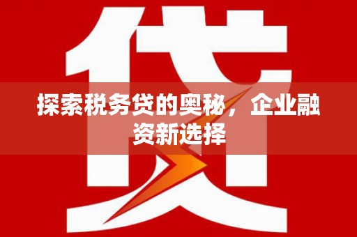 广南探索税务贷的奥秘，企业融资新选择
