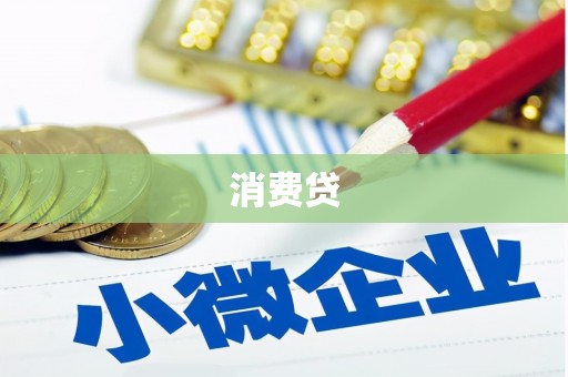 广南消费贷