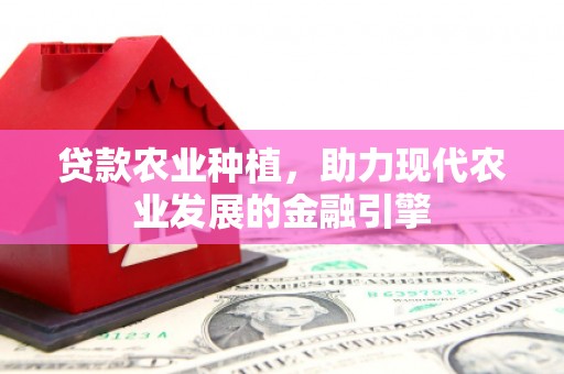 广南贷款农业种植，助力现代农业发展的金融引擎