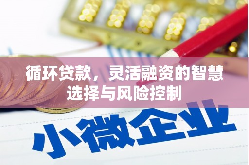 广南循环贷款，灵活融资的智慧选择与风险控制