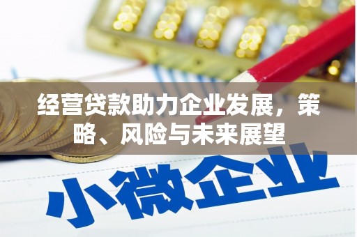 广南经营贷款助力企业发展，策略、风险与未来展望