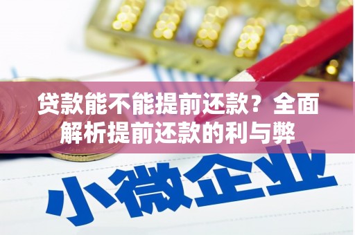 广南贷款能不能提前还款？全面解析提前还款的利与弊