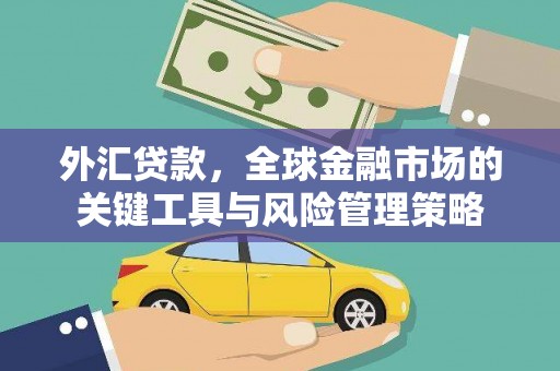 广南外汇贷款，全球金融市场的关键工具与风险管理策略