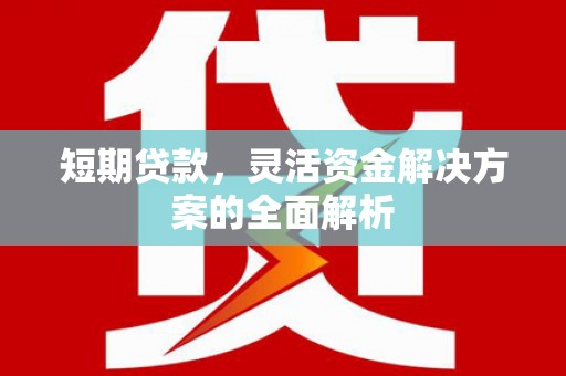 广南短期贷款，灵活资金解决方案的全面解析