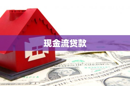 广南现金流贷款