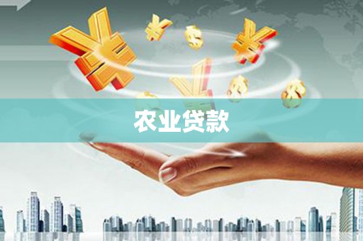 广南农业贷款