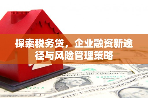 广南探索税务贷，企业融资新途径与风险管理策略