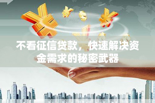 广南不看征信贷款，快速解决资金需求的秘密武器