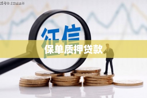 广南保单质押贷款