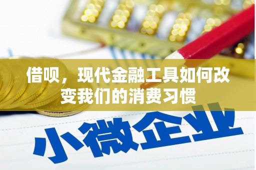 广南借呗，现代金融工具如何改变我们的消费习惯